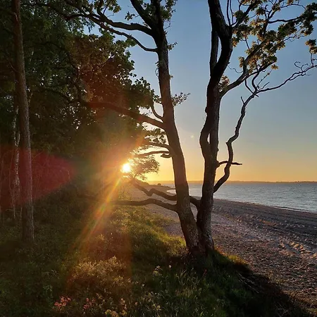 Hébergement de vacances Lf14062-roslev-stranddalen-62