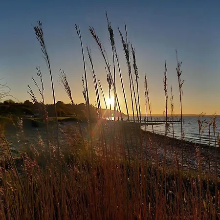 Lf14062-roslev-stranddalen-62